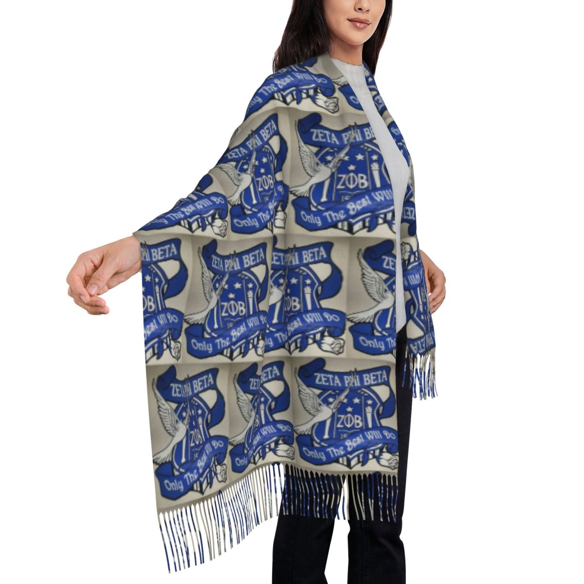 Zeta Phi Beta Lettera greca 19 - Women'S Fashion In 1920 recensione e prezzo